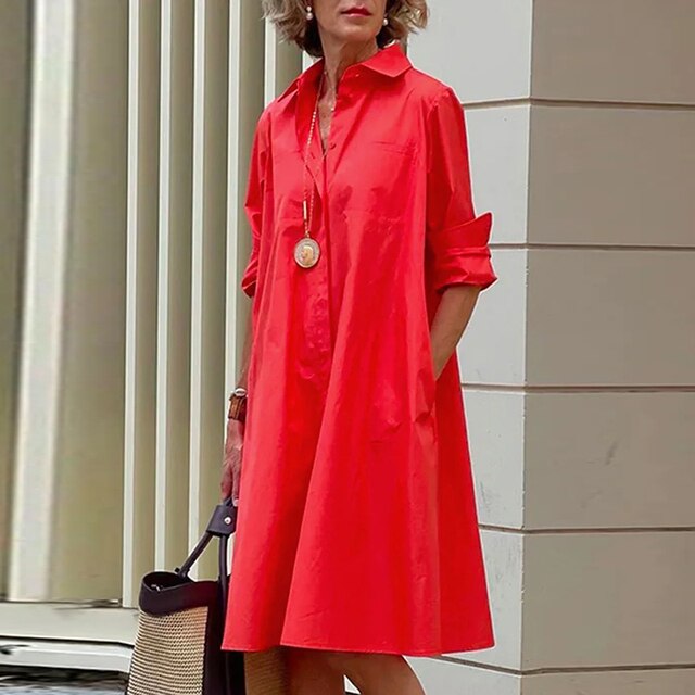 CV | Rochie vintage cu mânecă lungă